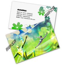 Lenticular 3D Plastic Business Card